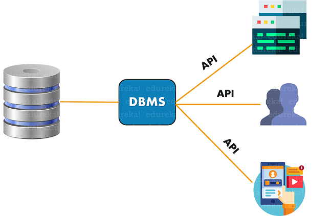 dbms basic concepts