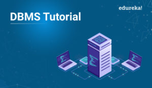 DBMS-Tutorial-300x175.jpg