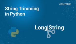 String-Trimming-in-Python-300x175.jpg