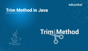 Trim-method-in-Java-300x175.jpg