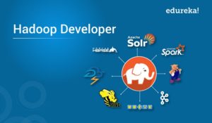 Hadoop-Developer-1-300x175.jpg