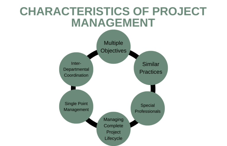 key-characteristics-of-project-management-in-2024