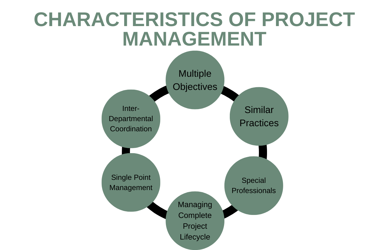 What Are Project Characteristics In Project Management