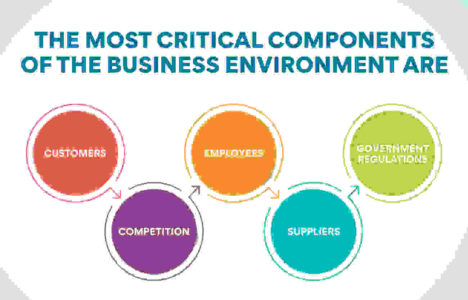 What are the Types of Business Environment? - Edureka