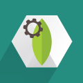 MongoDB Certification Training Course